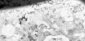bspline/seatB/grey_extract/gr_02.jpg