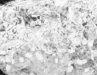bspline/seatB/grey_extract/gr_06.jpg