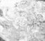 bspline/seatB/grey_extract/gr_13.jpg
