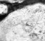 bspline/seatB/grey_extract/gr_14.jpg