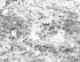 bspline/seatB/grey_extract/gr_17.jpg