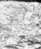 bspline/seatB/grey_extract/gr_18.jpg