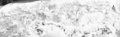 bspline/seatB/grey_extract/gr_20.jpg