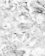 bspline/seatB/grey_extract/gr_23.jpg