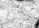 bspline/seatB/grey_extract/gr_25.jpg