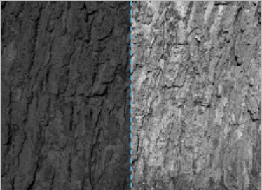 bspline/seatD/photodim/after_x_mirror.png